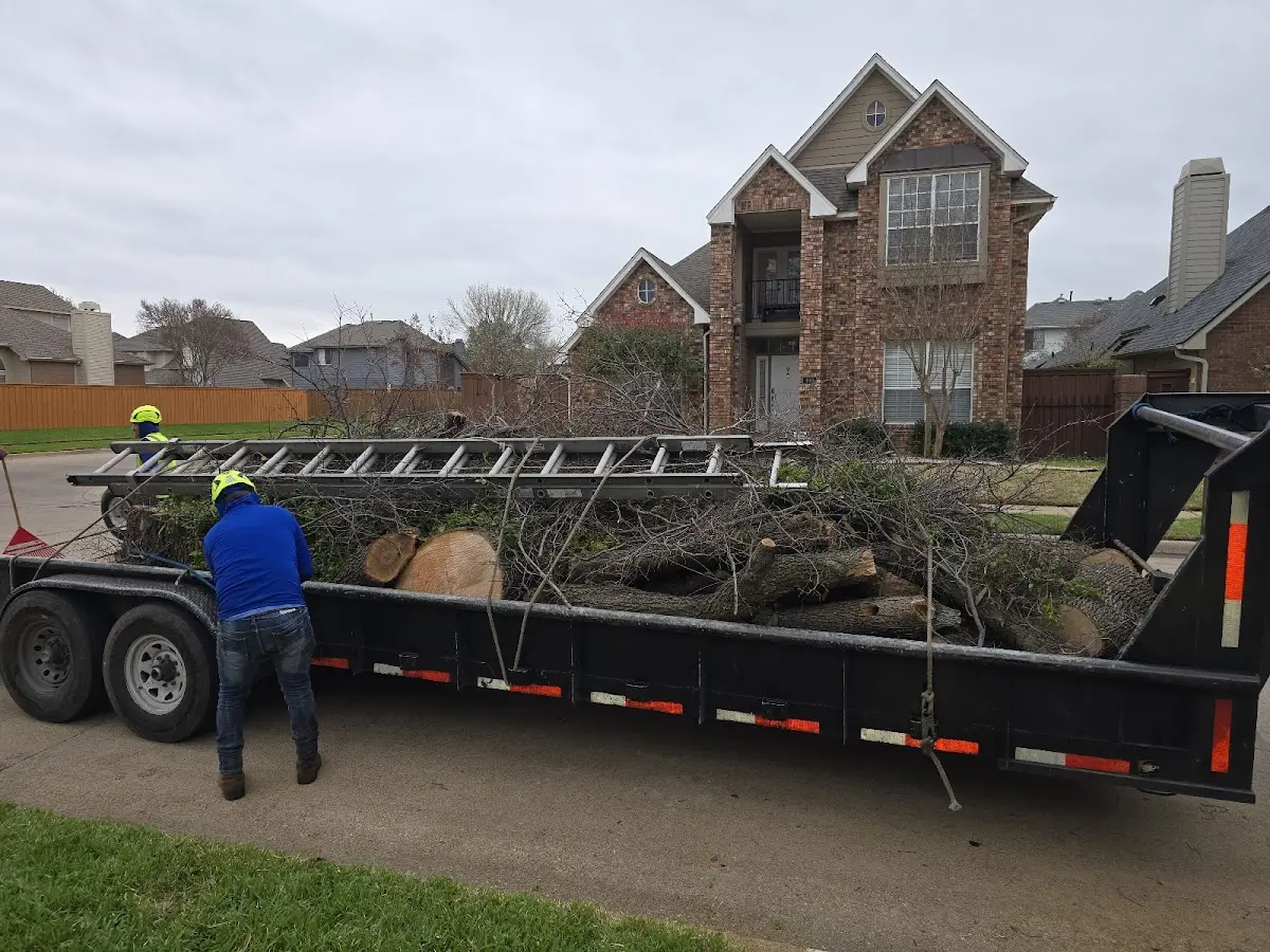 Expert Tree Fertilization with proper safety equipment in Fielding